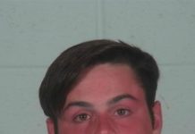 One man arrested after crash with horse drawn carriage, two injured