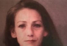 Sara Harris Jail Booking