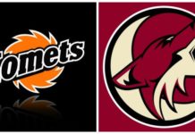Komets announce NHL affiliation with Arizona Coyotes