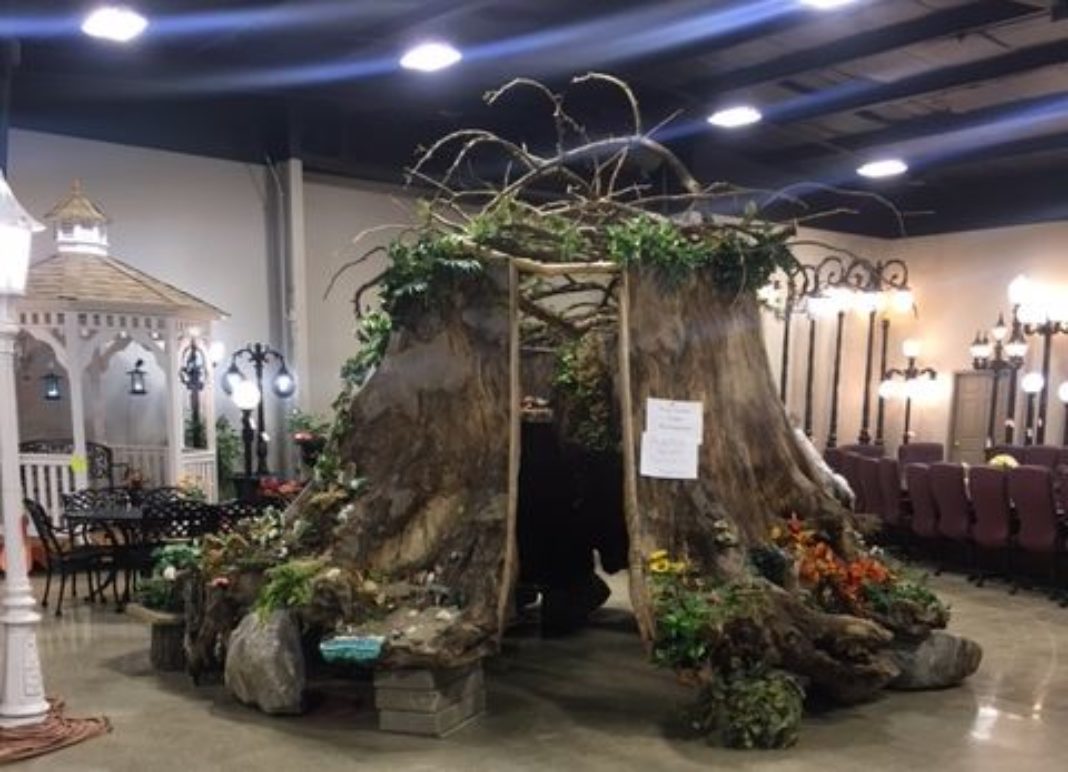 Huge tree stump in Warsaw could house world's largest fairy garden