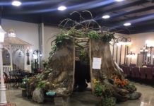 Huge tree stump in Warsaw could house world’s largest fairy garden