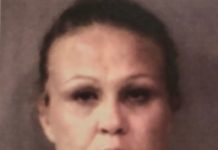 Carrie Finken Jail Booking