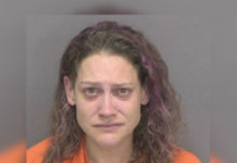 Decatur woman charged with animal cruelty
