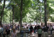 Mo Rocca to film at Johnny Appleseed Festival