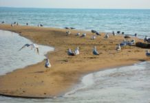 Drownings in Lake Michigan falling from previous years