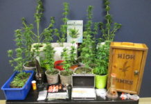 LaGrange police find meth, marijuana after traffic stop