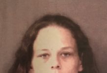 Melissa Wheeler Jail Booking