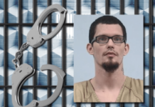 Rennselaer man allegedly kills ex-girlfriend’s cat while pretending it was her