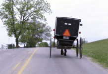 UPDATE: Driver faces charges after striking horse-drawn buggy, killing two