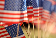 Area Veterans Day Events