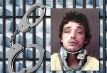 Warsaw man accused of stealing and crashing Corvette