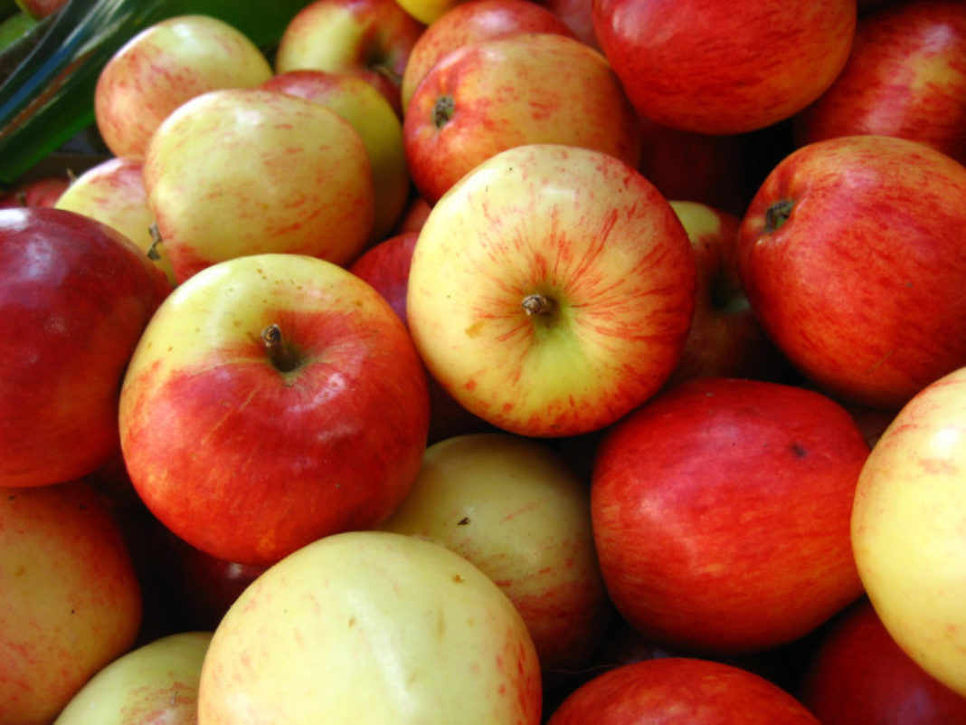 Apples being recalled due to possible Listeria contamination News Now