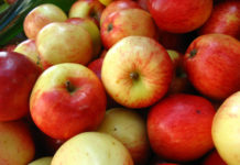 Apples being recalled due to possible Listeria contamination
