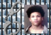 Warsaw teen facing robbery, battery, theft charges