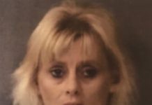 Shelby Shepherd Jail Booking
