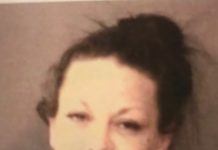 Hailey Templeton Jail Booking