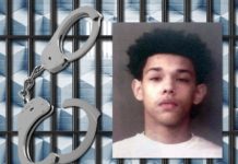 Leesburg teen accused of stealing from man trying to buy a gun