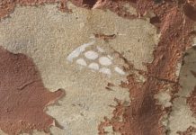 Pizza graffiti spotted in downtown Warsaw alleys