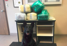 Troopers find over 120 pounds of pot during traffic stop on toll road
