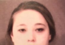 Taylor Brandon Jail Booking