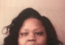 Felicia Hudson Jail Booking