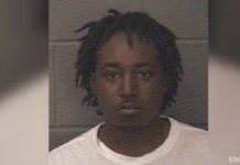 Unusual 911 call leads to police chase and crash in Elkhart
