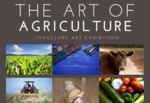 Art of Agriculture submissions on display at Warsaw City Hall