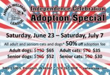 Animal Welfare League of Kosciusko County offers sale as they hit capacity