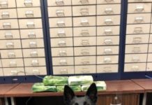 Two from Los Angeles busted for heroin on Indiana Toll Road