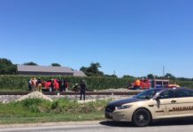 Driver dies after crash with train near Milford