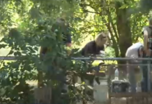 Officials digging backyard of Granger home accused killer lived in