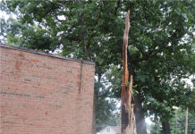 Lightning strike explodes tree in Warsaw, Pete Thorn Building damaged