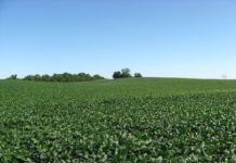 Indiana farmers’ crops being hindered by continual rainfall