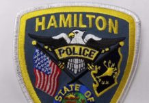 Bison loose in Steuben County