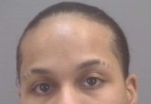 Traffic stop on Indiana Toll Road leads to drug bust, one arrested