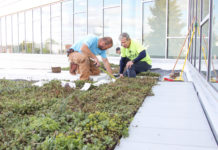Green roof installed at Grace College’s Dr. Dane A. Miller Science Complex