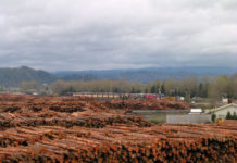 Opposition raised to logging plans at Salamonie River Forest