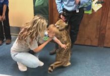 Potawatomi Zoo animal off-exhibit after biting child