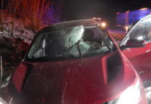 Police: Pumpkin tossed from toll road overpass causes crash