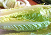 Citing E. coli outbreak, U.S. health officials say don’t eat romaine lettuce