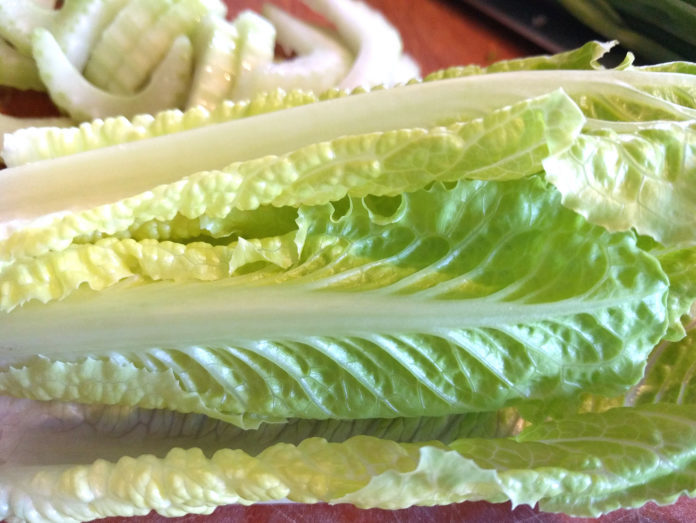 romaine-lettuce-696x523