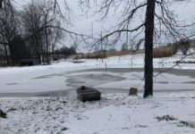Man rescued after falling through ice in DeKalb County