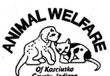 Animal Welfare League of Kosciusko County reopened, helping shelter pets from cold