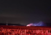 Pilot dies in Elkhart County plane crash