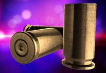 Officer resigns after review found he fired gun from truck