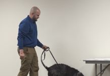 Kosciusko County Community Corrections program pursues K9 program