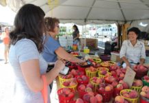 Shipshewana Flea Market announces changes for 2019 season