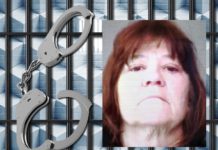 Milford woman arrested after allegedly trying to cut police officer