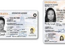 BMV announces new driver’s license format