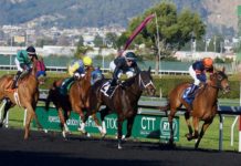 Commission eyeing September start for Indiana sports betting